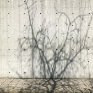 © Marina Cox, Vitra Campus, 2020