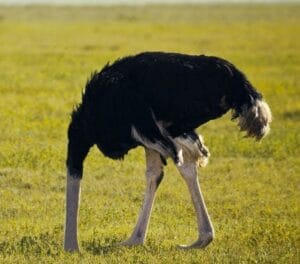 conférence céramique