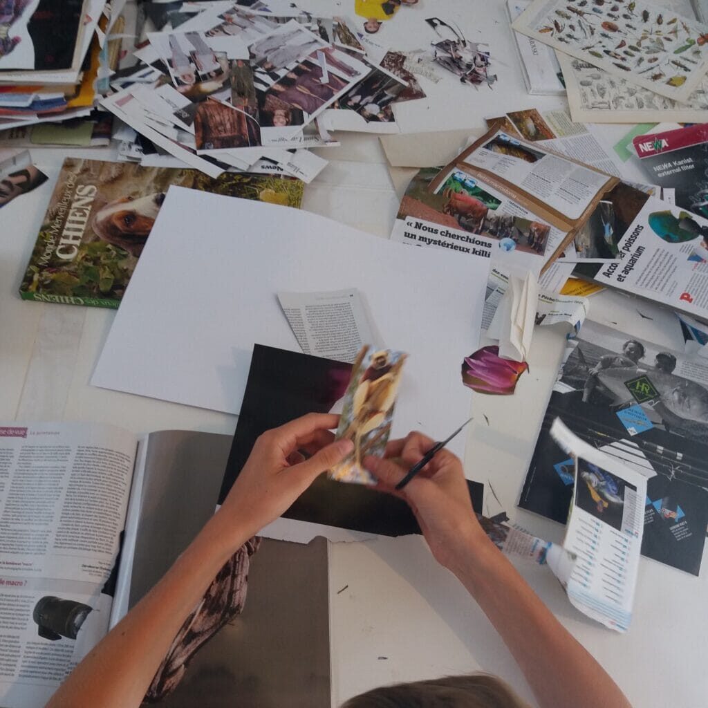 DIEGO_20190703_122633_b