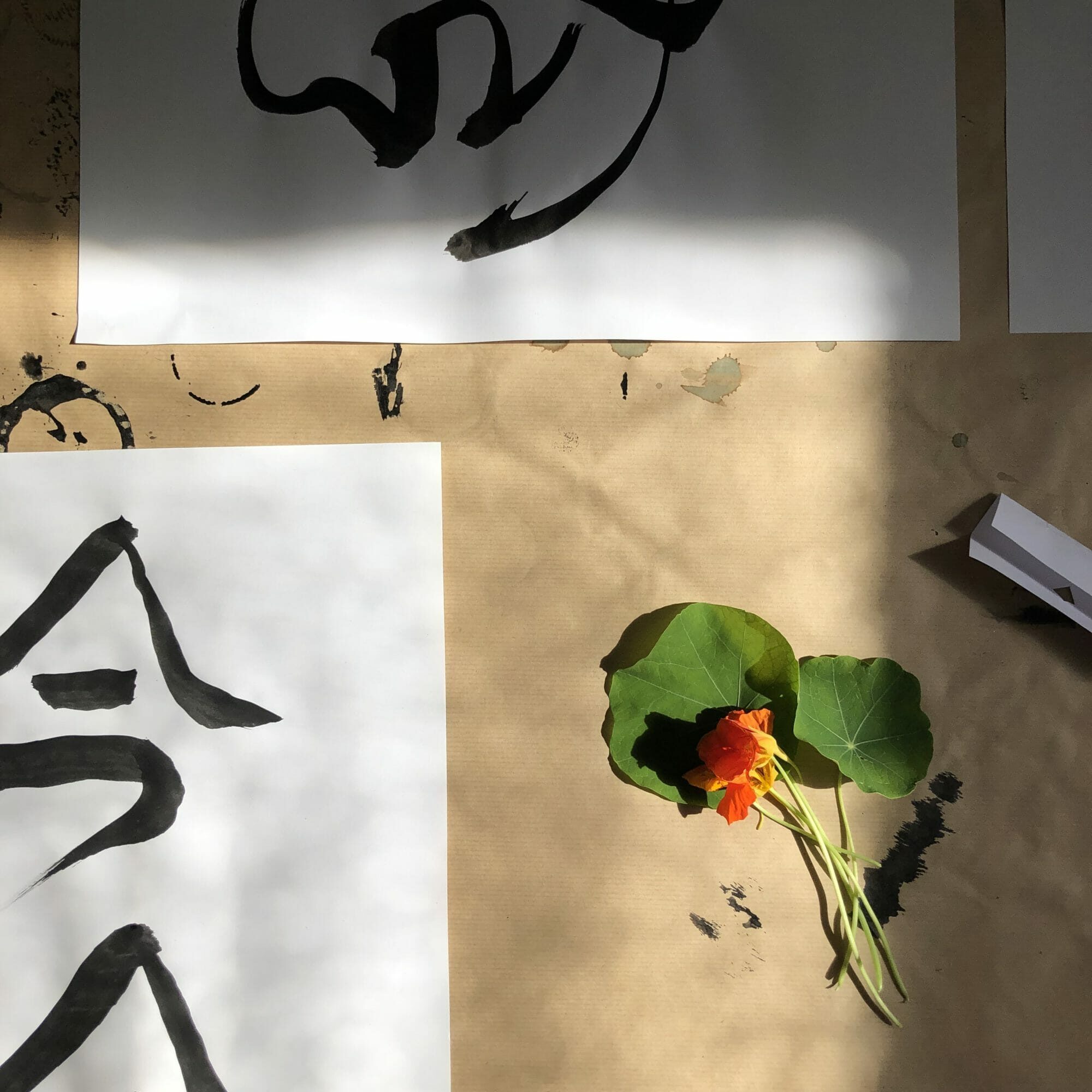 IMG_4223_calligraphie