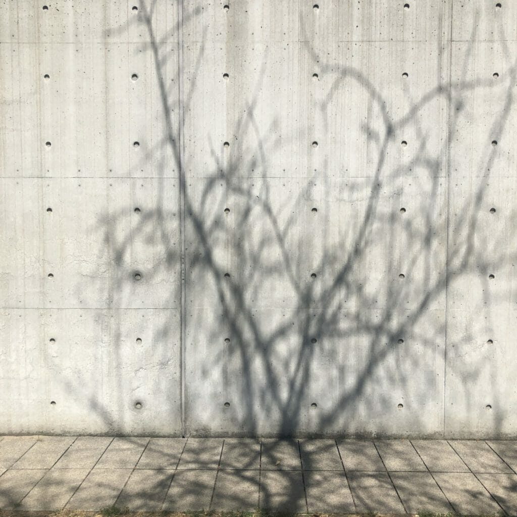 © Marina Cox, Vitra Campus, 2020