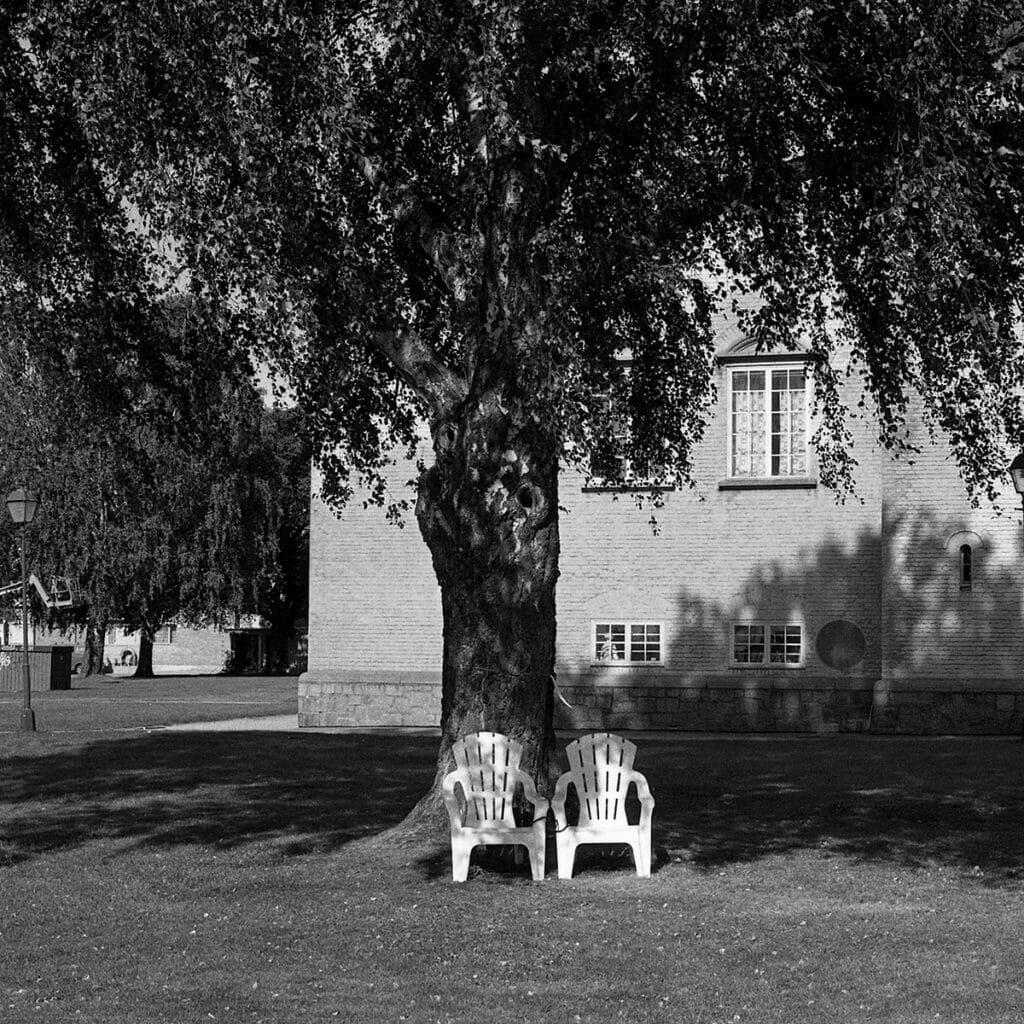 S2_Arbre_Martini_Atelier_Voot