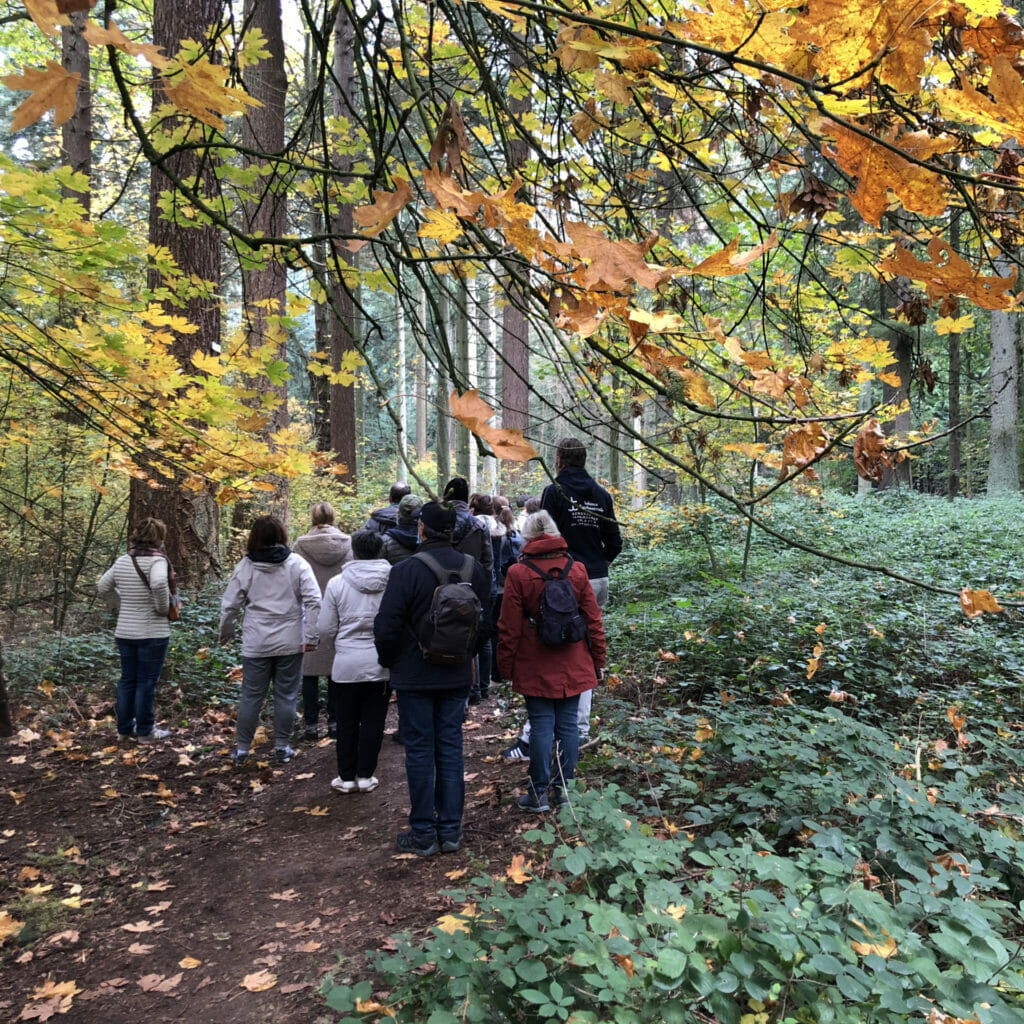 S2_pigments et liants naturels