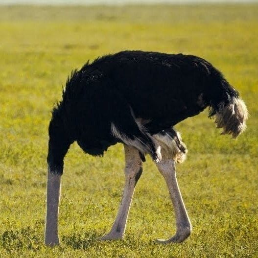 conférence céramique
